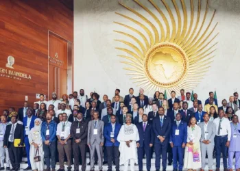 UNIDO Joins the African Energy Efficiency Alliance