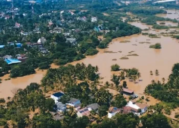 Floods, Landslides, and Hunger: Sri Lanka Still Struggles a Month After Cyclone Ditwah
