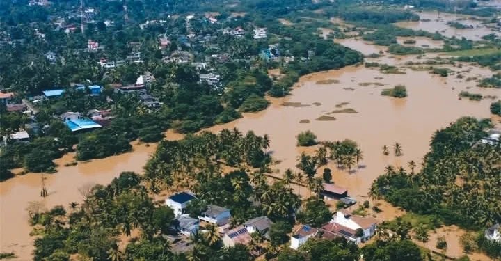 Floods, Landslides, and Hunger: Sri Lanka Still Struggles a Month After Cyclone Ditwah