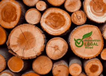 Asia-Pacific Powers Global Forest Trade Recovery: Wood and Paper Markets Rebound in 2024