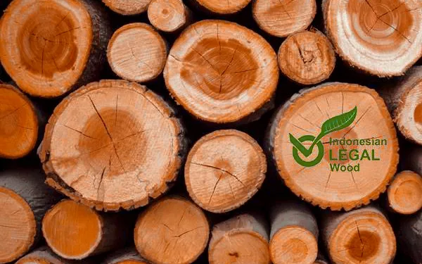 Asia-Pacific Powers Global Forest Trade Recovery: Wood and Paper Markets Rebound in 2024