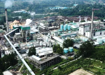 Indonesia’s Pulp Exports Surge: Green Transition Becomes a Global Trade Weapon