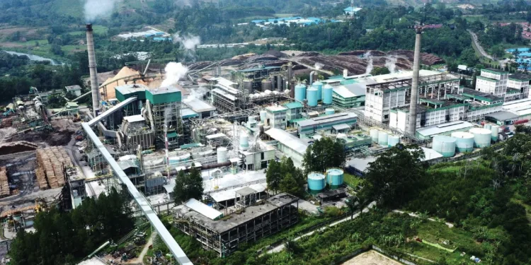 Indonesia’s Pulp Exports Surge: Green Transition Becomes a Global Trade Weapon 1 Indonesia’s Pulp Exports Surge: Green Transition Becomes a Global Trade Weapon