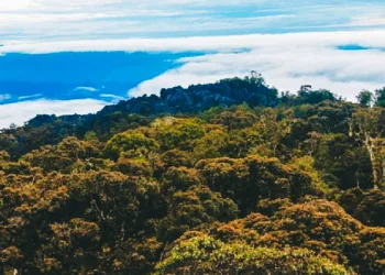 Indonesia Pushes Wallacea Region for World Heritage Status