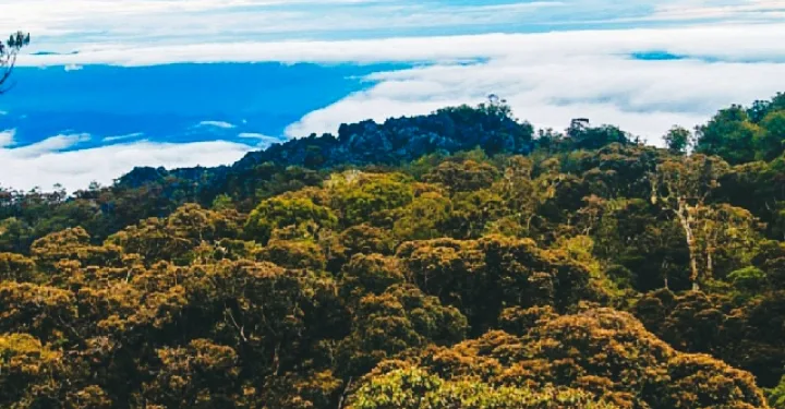 Indonesia Pushes Wallacea Region for World Heritage Status
