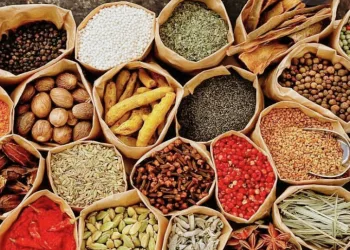 Asia’s Spice Alliance: Indonesia and Pakistan Set to Boost Trade