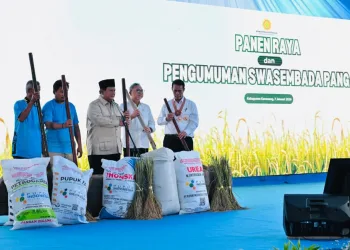 Indonesia Achieves Food Sovereignty, Rice Imports Halted Completely