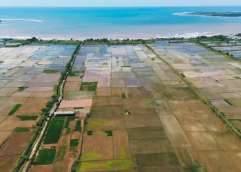 24 Million Hectares of Indonesia’s Coastal Land at Risk