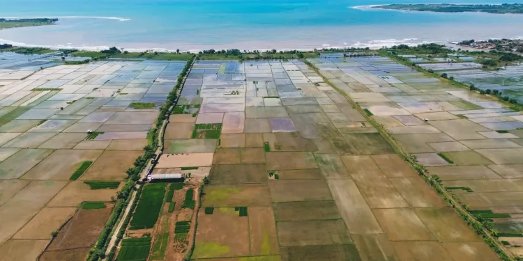 24 Million Hectares of Indonesia’s Coastal Land at Risk