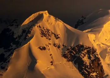 Earth Boils for 11 Straight Years: Global Warming is Spiraling Out of Control