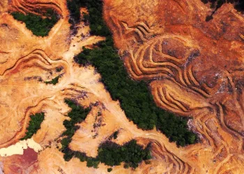 The World Pretends to Protect Nature — While Spending 30 Times More to Destroy It
