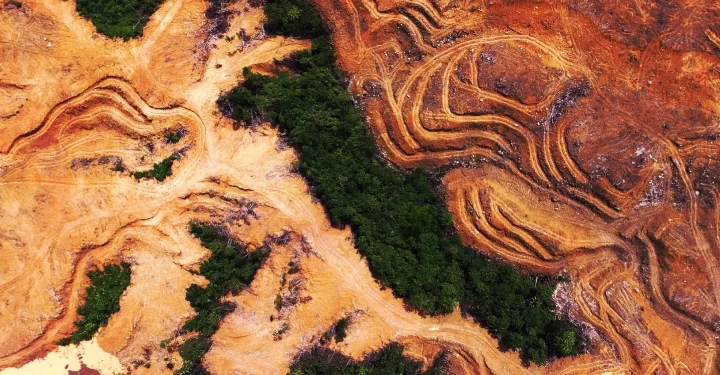 The World Pretends to Protect Nature — While Spending 30 Times More to Destroy It