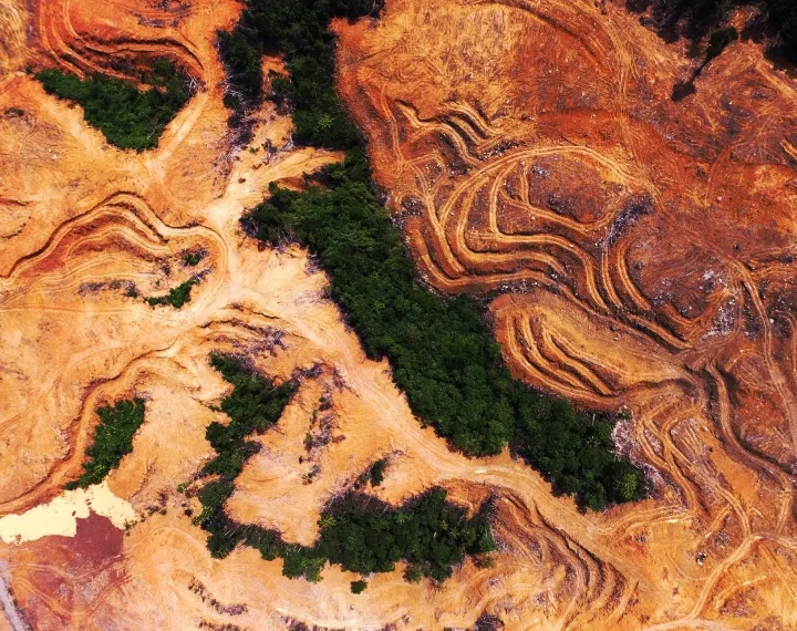 The World Pretends to Protect Nature — While Spending 30 Times More to Destroy It