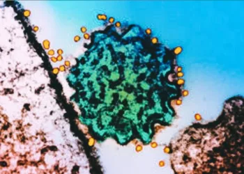 Asia on Edge: Nipah Outbreak in India Triggers Regional Airport Alerts