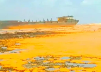 Tens of Tons of Palm Oil Contaminate Gili Iyang, One of the World’s Most Oxygen-Rich Islands
