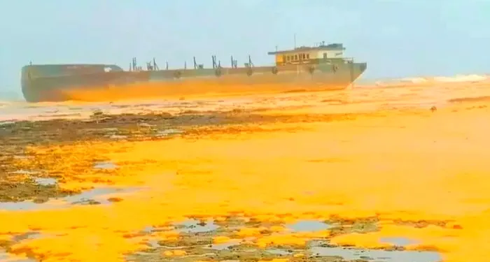 Tens of Tons of Palm Oil Contaminate Gili Iyang, One of the World’s Most Oxygen-Rich Islands 1 Tens of Tons of Palm Oil Contaminate Gili Iyang, One of the World’s Most Oxygen-Rich Islands