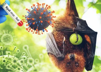 Nipah Virus Threatens Asia, Indonesia Moves into Alert Mode