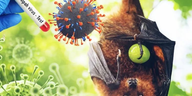 Nipah Virus Threatens Asia, Indonesia Moves into Alert Mode 1 Nipah Virus Threatens Asia, Indonesia Moves into Alert Mode