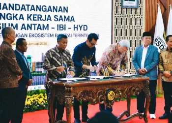Indonesia–China Forge Strategic Battery Alliance: State-Owned ANTAM Secures Majority Control