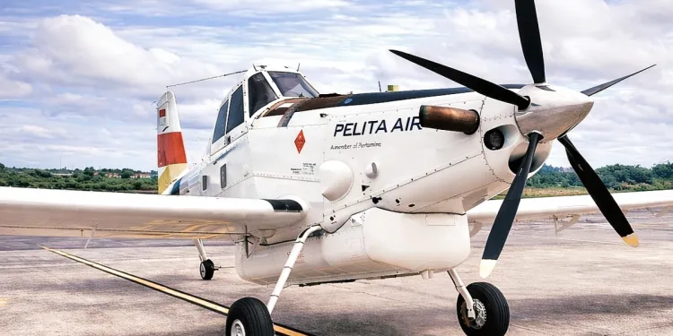 Border Tragedy: Pelita Air Charter Crashes After One-Price Fuel Mission, Pilot Killed