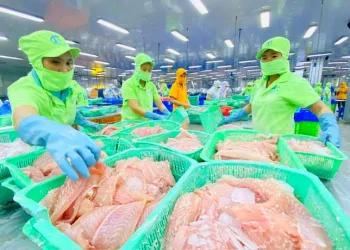 Thousands of Foreign Companies Supply Fish to Indonesia, Led by Vietnam and China