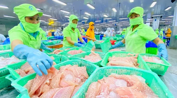Thousands of Foreign Companies Supply Fish to Indonesia, Led by Vietnam and China