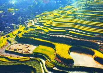 Global Food Turmoil 2026: 41 Countries Facing Looming Food Crisis