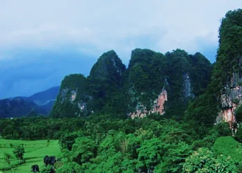 Invasive Alien Species Threaten Indonesia’s Biodiversity