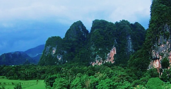 Invasive Alien Species Threaten Indonesia’s Biodiversity