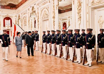 New Axis of Asia: Indonesia–Japan Anchor Energy Cooperation, Investment, and Security Stability