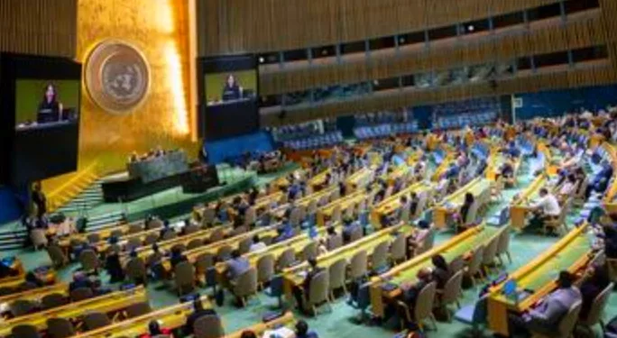 Peacekeeper Killed, Indonesia Urges UN to Impose Tough Sanctions on Israel