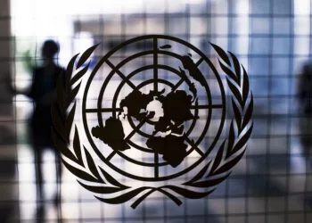UN Security Council Condemns Deadly Attack on Indonesian Peacekeepers