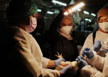 WHO: Indonesia Faces Looming Threat of Deadly Zoonotic Outbreaks