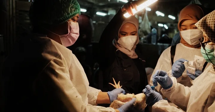WHO: Indonesia Faces Looming Threat of Deadly Zoonotic Outbreaks