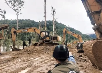 Papua Forests Plundered: Four Chinese Nationals Charged in Illegal Gold Mining Case