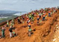 Ceria Corp, Indonesia’s Green Nickel Pioneer, Restores 200 Hectares of Former Mine Land Through ESG Initiatives