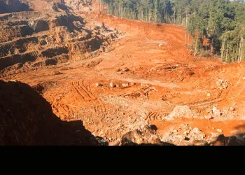IPB Expert: Nickel Mining in Halmahera Threatens Marine Ecosystems and Coastal Livelihoods
