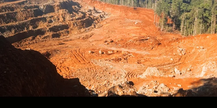 IPB Expert: Nickel Mining in Halmahera Threatens Marine Ecosystems and Coastal Livelihoods
