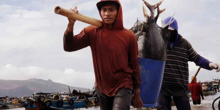 Asia Drives Global Aquatic Production to Record High, Powered by Aquaculture Expansion