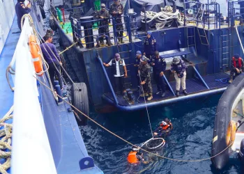 Indonesia Foils Smuggling of 1,300 Protected Napoleon Wrasse Bound for Hong Kong