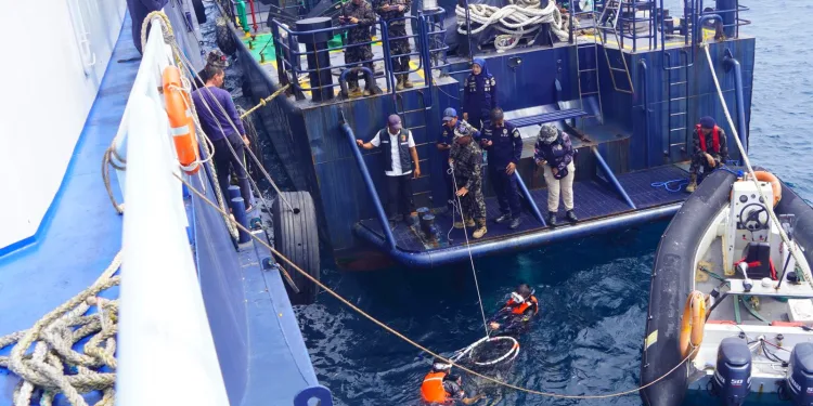 Indonesia Foils Smuggling of 1,300 Protected Napoleon Wrasse Bound for Hong Kong