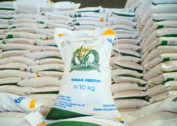 Indonesia Becomes ASEAN’s Top Rice Producer, Ranks Fourth Globally, FAO Says
