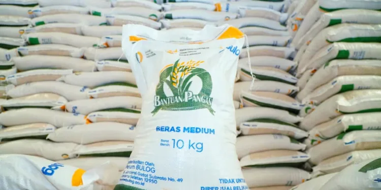 Indonesia Becomes ASEAN’s Top Rice Producer, Ranks Fourth Globally, FAO Says 1 Indonesia Becomes ASEAN’s Top Rice Producer, Ranks Fourth Globally, FAO Says