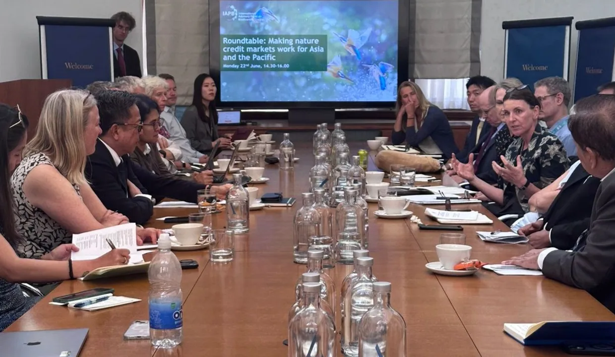 Indonesia Tells Global Leaders: Net Zero Means Nothing Without Nature 2 Indonesia Tells Global Leaders: Net Zero Means Nothing Without Nature 1