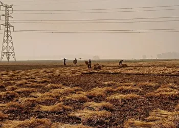 Middle East Conflict Rocks Asia as Bangladesh Faces Mounting Food Security Threat