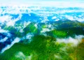 Indonesia Unveils Global Green Finance Push as Climate Investment Targets Tropical Forests