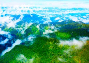 Indonesia Unveils Global Green Finance Push as Climate Investment Targets Tropical Forests