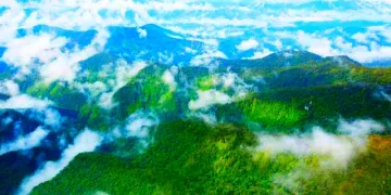Indonesia Unveils Global Green Finance Push as Climate Investment Targets Tropical Forests
