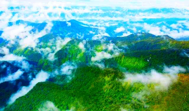 Indonesia Unveils Global Green Finance Push as Climate Investment Targets Tropical Forests