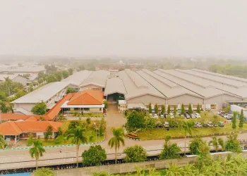Indonesia Debunks Vietnam Relocation Claims Over Japan’s Yazaki Plants